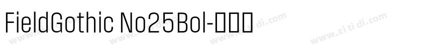 FieldGothic No25Bol字体转换